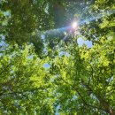 봄날의세탁소 이미지