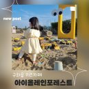 구좌읍 키즈카페 아이올레인포레스트 제주 야외 놀이터