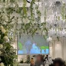 블랑 | WD.27 대구 아이폰스냅 아무르블랑 본식 후기