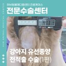 창현동물병원 이미지