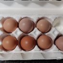 백운농장(2) 이미지