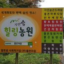 농업회사법인 인성(주)