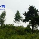 미스터디자인 이미지