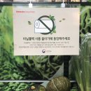 홈플러스 익스프레스 광화문점