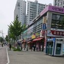 다니엘사 이미지