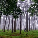 ㈜토지환경 이미지