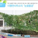 이평면사무소 이미지