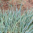 선우정경로당 이미지