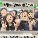 (주)영투어 이미지