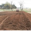 제2신명농장 이미지