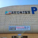 큰시장흑염소 이미지
