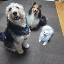 능동로L 이미지