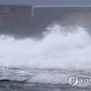 신풍리교차로 2-2 이미지