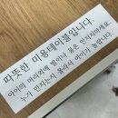 이쁘냥 고양이미용실 대전점 이미지