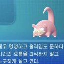 뽑아가유 | 꽃이 피는 쪽으로 걸읍시다