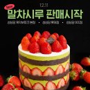 꾸떼드미엘 | December daily life (2) 누군가를 버티게 해주는 한 마디.