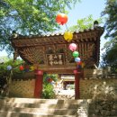 다대2동-7 Daum카페