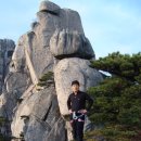 송짱 Daum카페