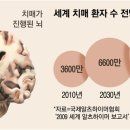 J&J 소프트 이미지