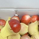 승주농장 | [승주농장] 여름과일 추천! 경산 고당도 신비복숭아