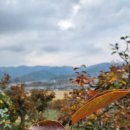 밤재농장 이미지