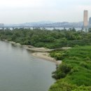 밤섬