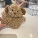 왕왕뽑기왕 | 꿈과 책과 힘과 벽