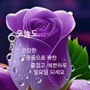 황금장여관 이미지