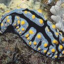 도매스토리 이미지