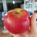 욱이네 농장 이미지