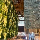 카페브런치 이미지