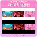 시그니처제이 이미지