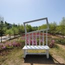 자라섬 중도 이미지