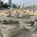 수영마대 뉴스1