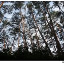 준3 태양광발전소 이미지