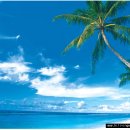 파라다이스 이미지