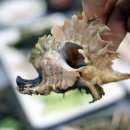 거제도횟집 이미지