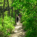 원주굽이길 1코스 배부른산길 이미지