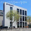 샤인동물메디컬센터 | 송파구 방이동 동물병원 24시샤인동물메디컬센터 진료시간 접근성 이용후기