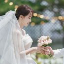 니로스냅