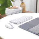 텐PC | 텐키리스 키보드 추천, 로지텍 MX Keys Mini for Mac &amp; MX Anywhere 3S 후기