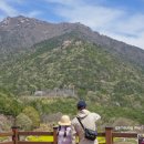 꽃단지 화장실 이미지