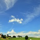 영근농장 이미지