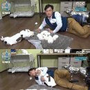 마리텔 서울신문