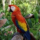 상암경로당 이미지