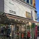 오월애 | 대전 둔산동 꽃집 오월애플라워 꽃다발 후기