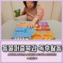 블루 독 스쿨 | 블루래빗 캥거루스쿨 동물퍼즐북 독후활동 도토리 주으며 수학개념 익히기 w. 아기퍼즐 효과