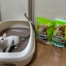 엘지유니참(주) | 고양이 화장실 고민 끝! 유니참 데오토일렛 오픈형 솔직 사용후기