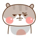 제주다반사 이미지