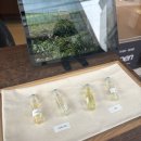 루미2발전소 | 땀 흘리는 외국인은 길을 알려주자